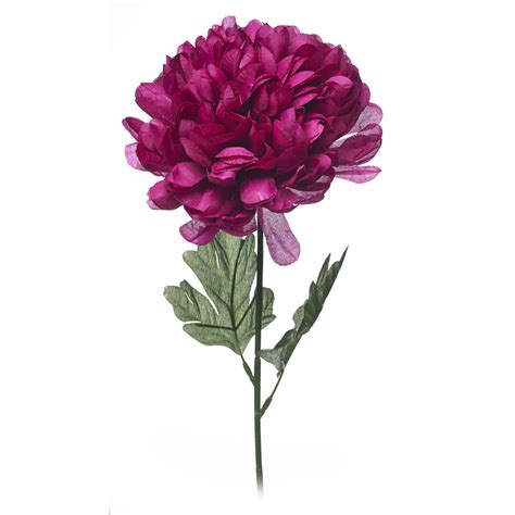 We did not find results for: Wilko Pom Pom Single Stem Flower Magenta | Wilko