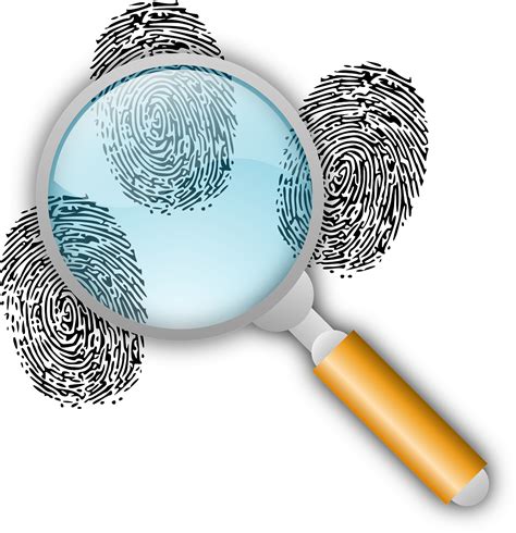 Detective Clues Police Work Free Vector Graphic On Pixabay