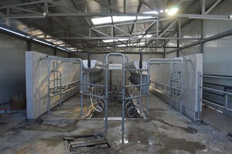 Herringbone Milking Parlour Greater Cow Comfort Agromasters