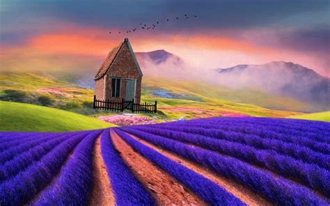 Download Wallpapers Lavender Field House Mountains