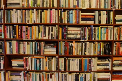 IEB recomienda libros para bibliotecas públicas de todo Chile
