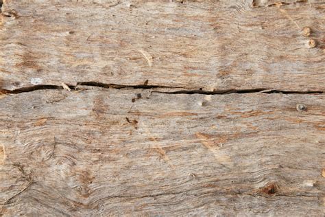 Log Wallpaper With The Texture Of Logs Wallpapersafari