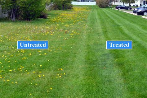 Both of them are special according to their performance. Pre-Emergent Herbicides | CityGreen Services
