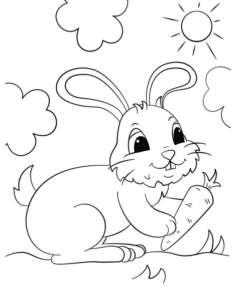 Cute Bunny With A Carrot In The Sunny Day Coloring Page Free