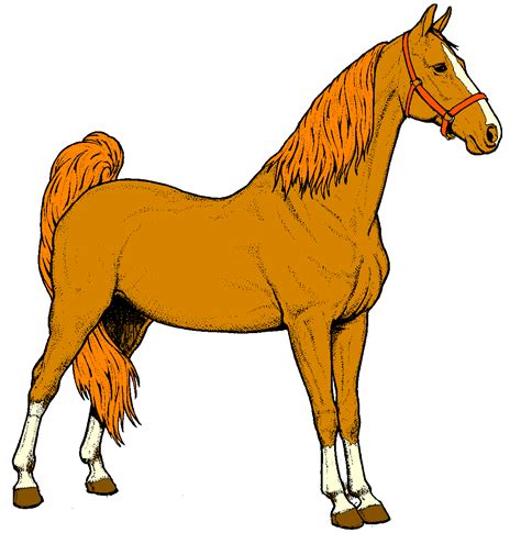 Horse Clipart Amazing Wallpapers