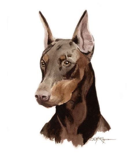 Doberman Pinscher Drawing At Getdrawings Free Download