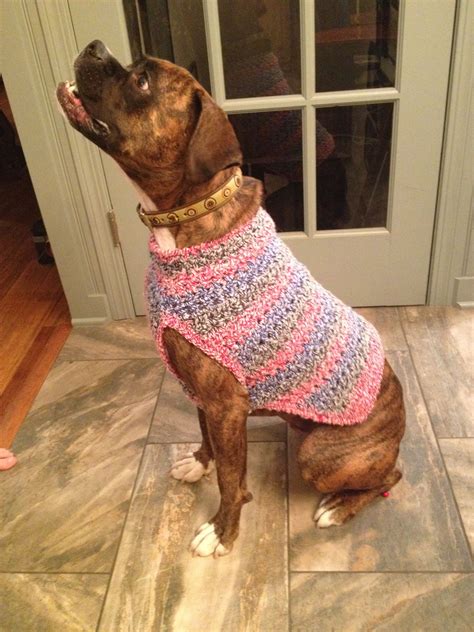 Lion Brand Dog Sweater Pattern Knitting Patterns Crochet Patterns Dog