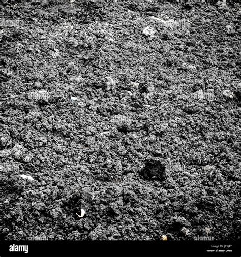 Black Soil Texture Background Perspective Stock Photo Alamy