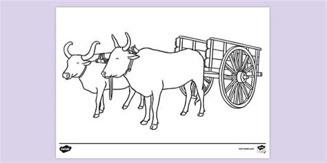 FREE Oxen Pulling Cart Colouring Sheet Colouring Sheets