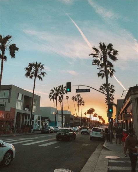 California Aesthetic West Coast Palm Trees Instagram Picture Ideas