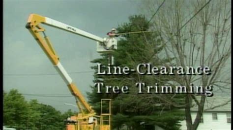 For the best lithia, fl tree service, jw tree service, inc. Tree Trimming PREVIEW - YouTube