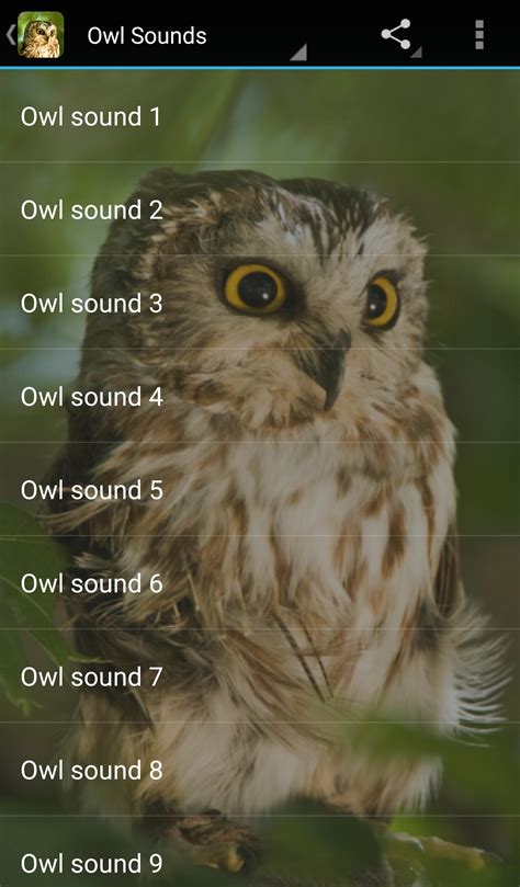 Owl Sounds for Android - APK Download