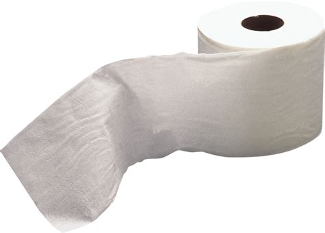 Toilet Paper Png Images Png All