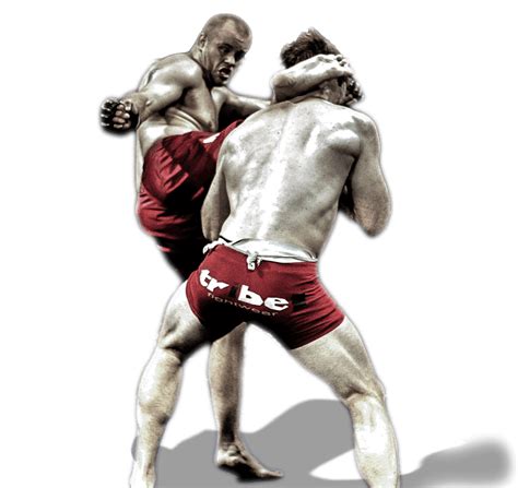 Mixed Martial Arts Png Mma Png Transparent Image Download Size 830x784px