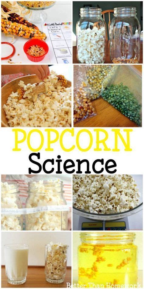How Does Popcorn Pop Answer That Question And More With These Fun