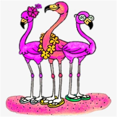 Download High Quality Flamingo Clip Art Beach Transparent Png Images