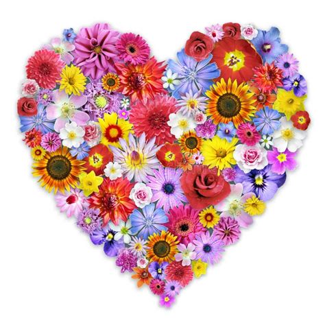 Large Heart Shaped Floral Arrangement Stock Illustration Illustration