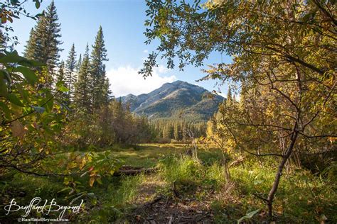 A Taste Of The Fall Season In Banff National Park