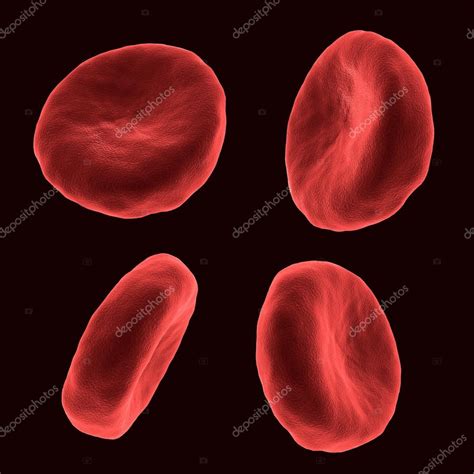Red Blood Cell Stock Photo By ©cliparea 13279856