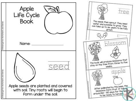 🍎🍉🎃 Free Printable Plant Life Cycle For Kids Reader