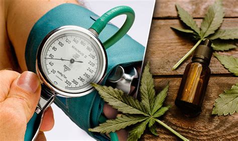 Cannabis For Lowering Blood Pressure Herb Grinder
