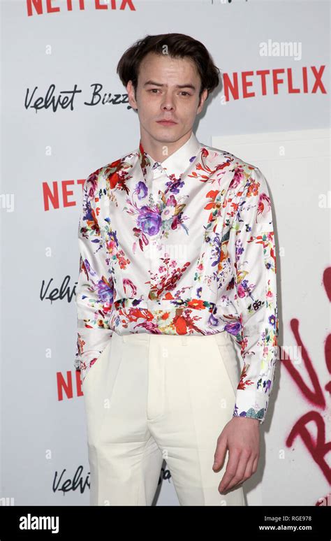 Hollywood Ca Th Jan Charlie Heaton At The Velvet Buzzsaw Premiere Screening At The