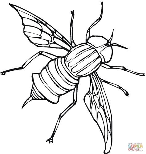 Coloring Book Fly Coloring Pages
