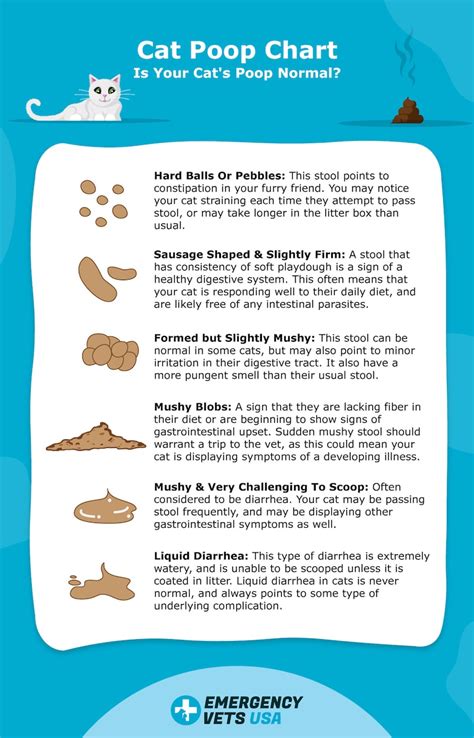 Cat Poop Chart Is Your Cats Poop Normal Runny Or Hard 2024