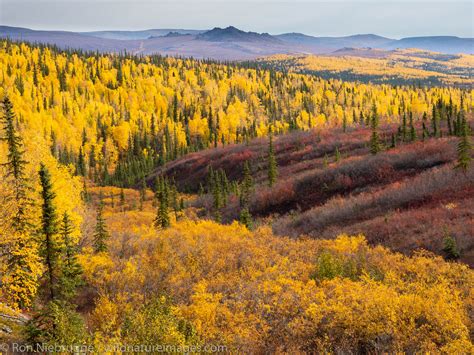 Autumn In The Brooks Range Alaska Alaska Photos By Ron Niebrugge