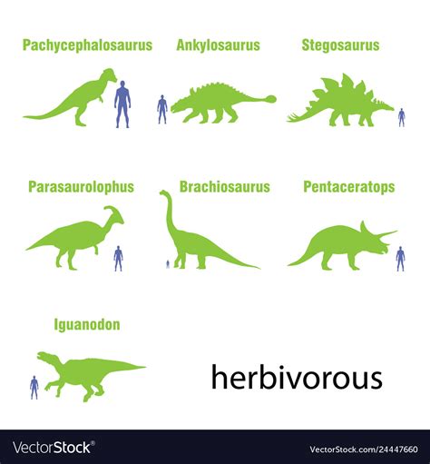 Set Of Herbivores Dinosaurs Royalty Free Vector Image