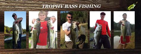 Trophy Bass Fishing Woods N Water