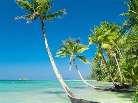 Travel To The Worlds Most Exotic Islands Travelalerts