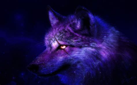 Cute galaxy wolf wallpapers top free cute galaxy wolf backgrounds wallpaperaccess . Galaxy wolf | galaxy animals | Pinterest | Wolves and Galaxies