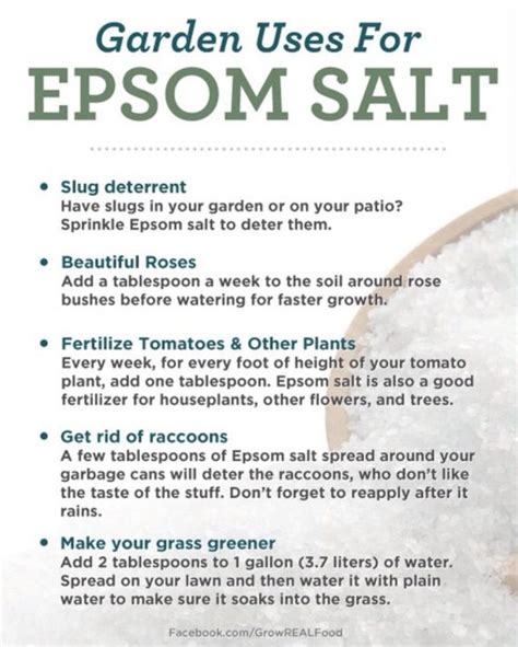Epsom Salt Uses For Garden And Plants The Whoot Epsom Salt Garden Plants Garden Pests