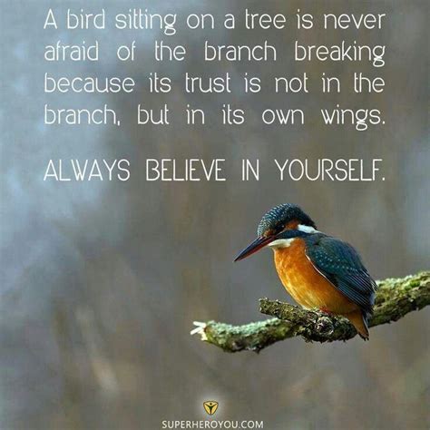 The meaning of life is not to be discovered only after death in some hidden, mysterious realm; A bird sitting on a branch quote. | Believe in you, Afraid quotes, Quote of the day