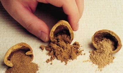 Walnut shell for blasting, cleaning, filtration, tumbling, deflashing and cosmetics. Composition Materials Co. - Plastic Blast Media, Walnut ...