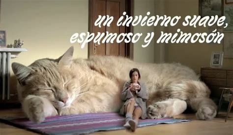 Catsparella Argentinean Coffee Commercial Promises Giant