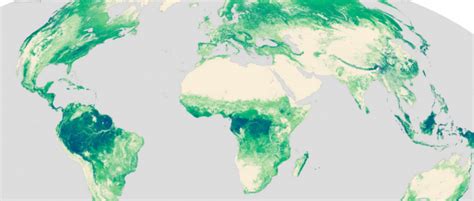 4 Global Forest Maps To See The Forest For The Trees Gis Geography