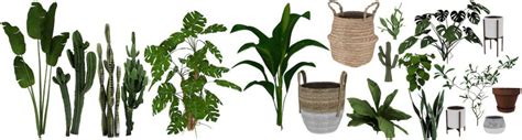 Set Of 19 Plants By Novvvas Liquid Sims