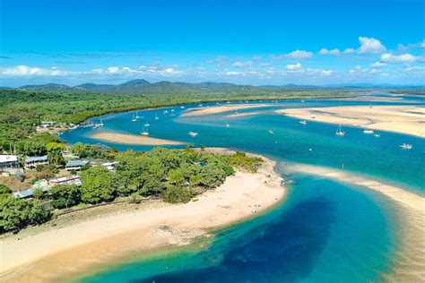 the best things to do in gladstone queensland