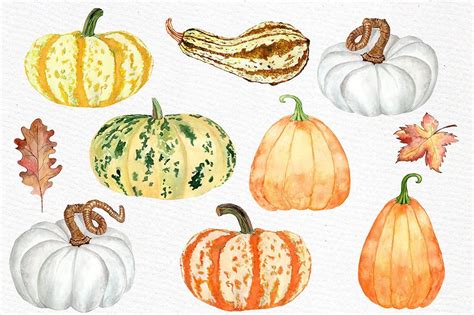 Watercolor Pumpkin Clipart By Lecoqdesign On Creativemarket