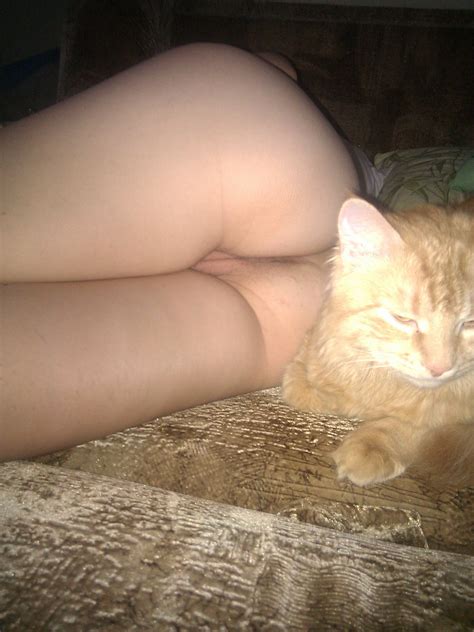 Pussy Cat Porn Pic