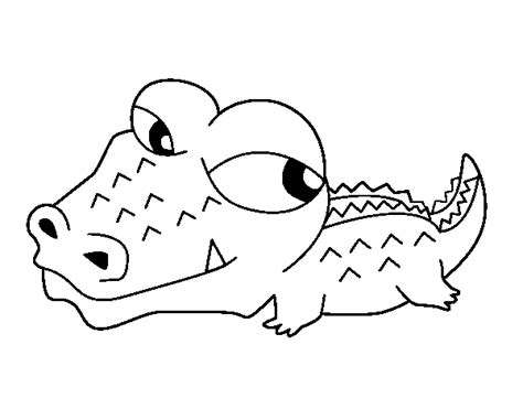 Desenho De Crocodilo Pequeno Para Colorir