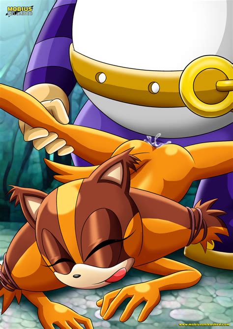 Rule 34 Big The Cat Female Furry Mobius Unleashed Sex Sonic Series