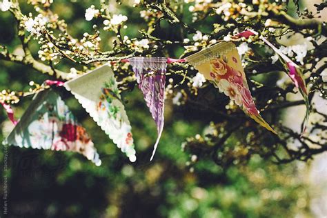 Pretty Bunting In A Blossom Tree On A Sunny Spring Day By Stocksy