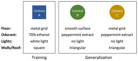 Schematic Of Contexts Used In Fear Conditioning And Generalization