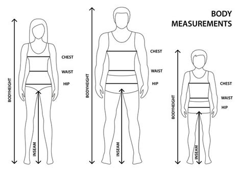 Human Body Measurements Diagram