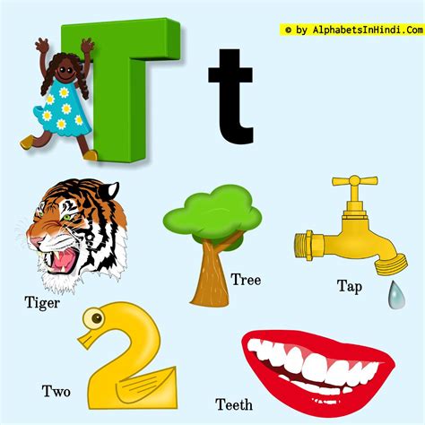 Here's how to get microsoft word for your own computer. T For Tree Alphabet, Phonic Sound And 5 Words HD Image