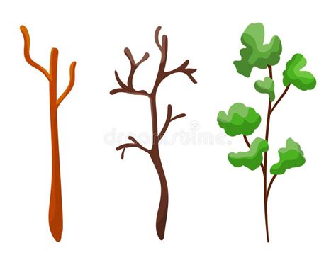 Three Stages Of Tree Growth From Bare To Leafy Cartoon Sapling
