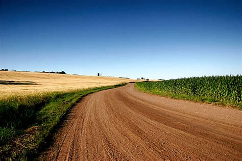 Dirt Road Between Corn Fields Stock Photos Pictures And Royalty Free